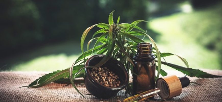 קנאביס רפואי: כל הפרטים על הצמח שמחולל פלאים